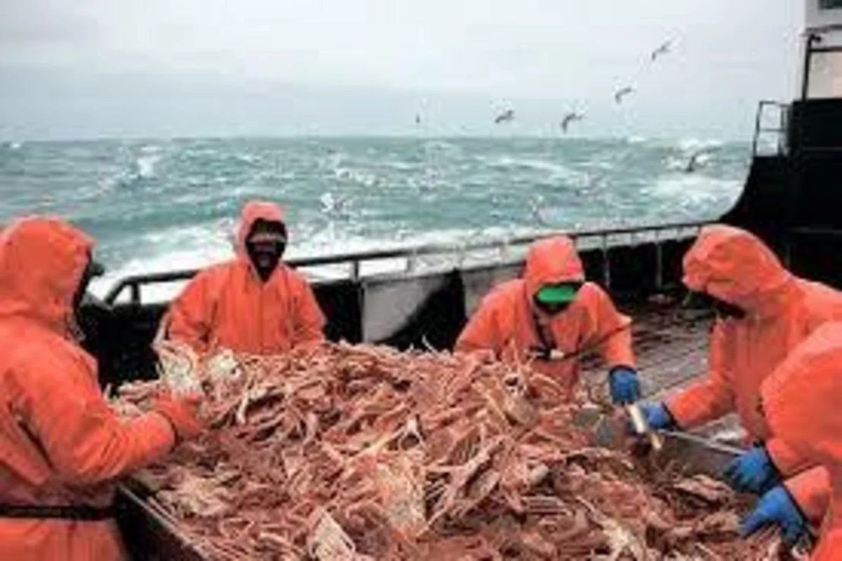 В России будут проводиться крабовые аукционы