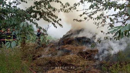 Qubanın kəndində ikinci yanğın başlayıb