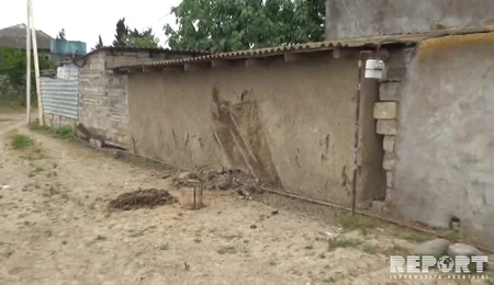 Cəlilabadda qoyun oğurluğuna cəhd göstərilib