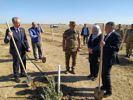 Anım Günü münasibətilə ağacəkmə aksiyası keçirilib