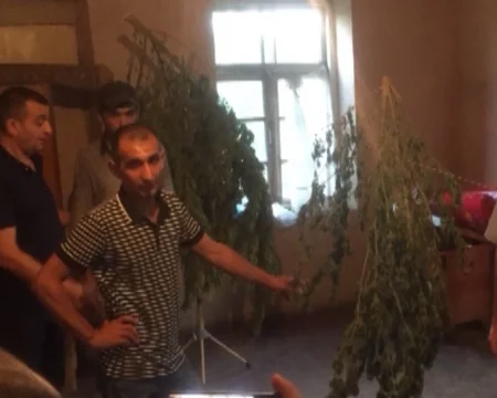 Sabirabadda 94 kiloqram çətənə kolları aşkar olunub