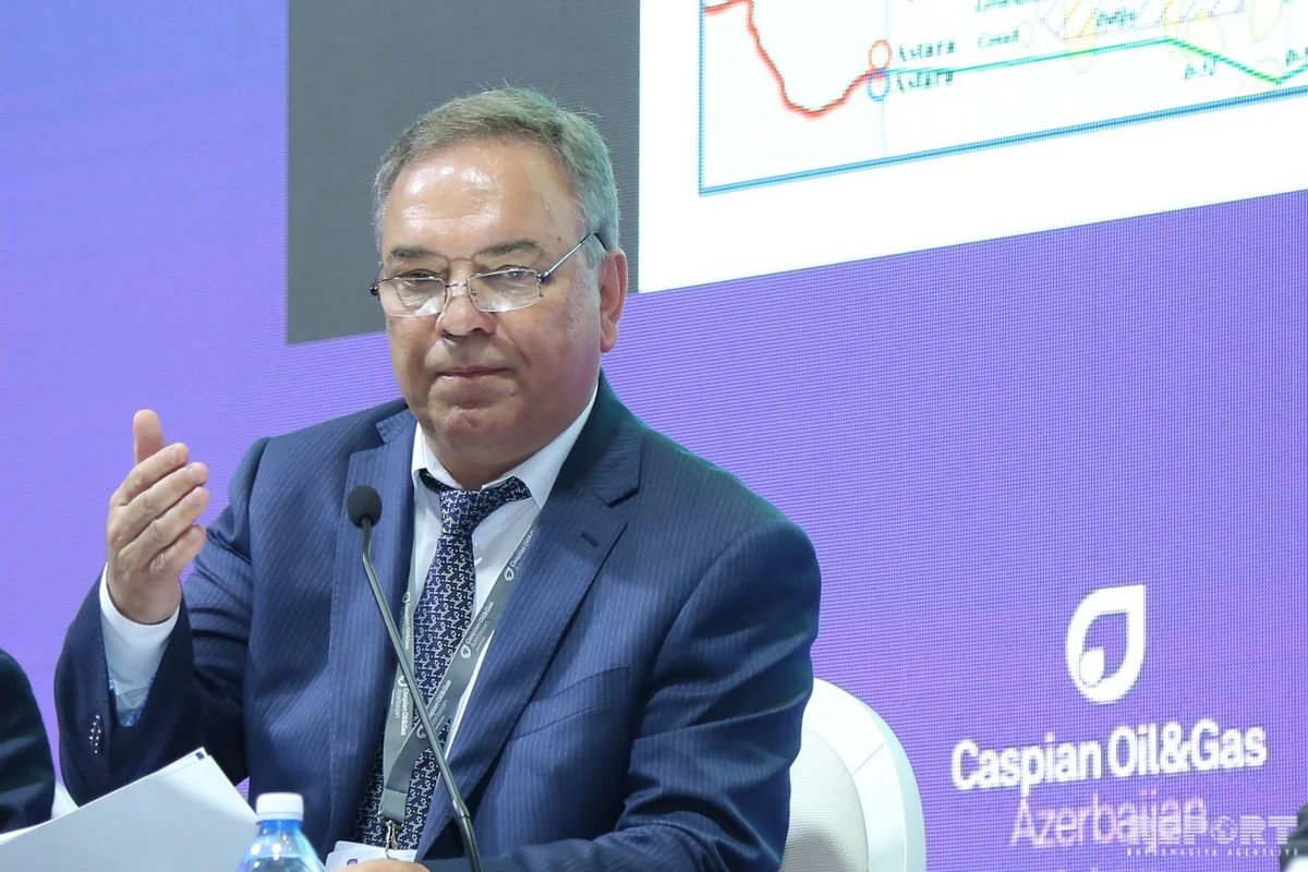 SOCAR-ın vitse-prezidenti: Azərbaycanda 66 sahədə əlavə seysmik tədqiqata ehtiyac var