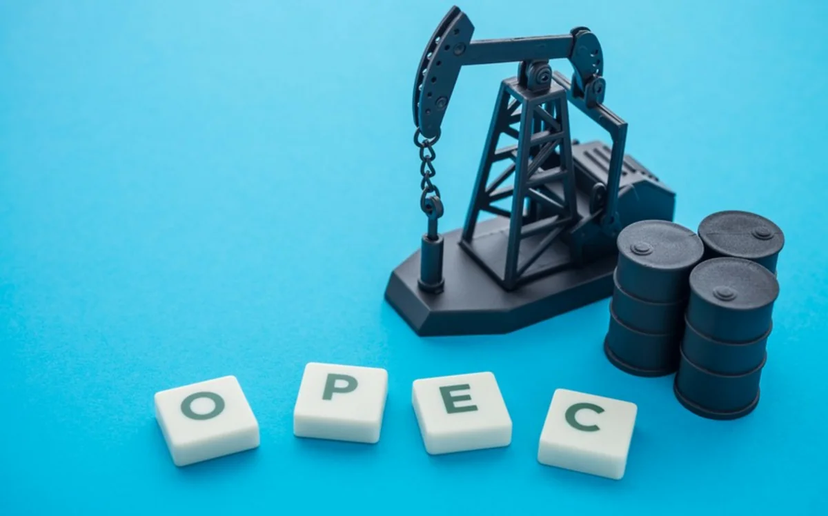 В ОАЭ намерены работать с ОПЕК+ над стабильностью мирового рынка нефти