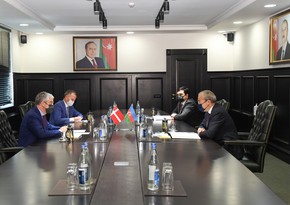 Danimarka şirkətləri Azərbaycanın potensialından yararlanmağa dəvət olunub 