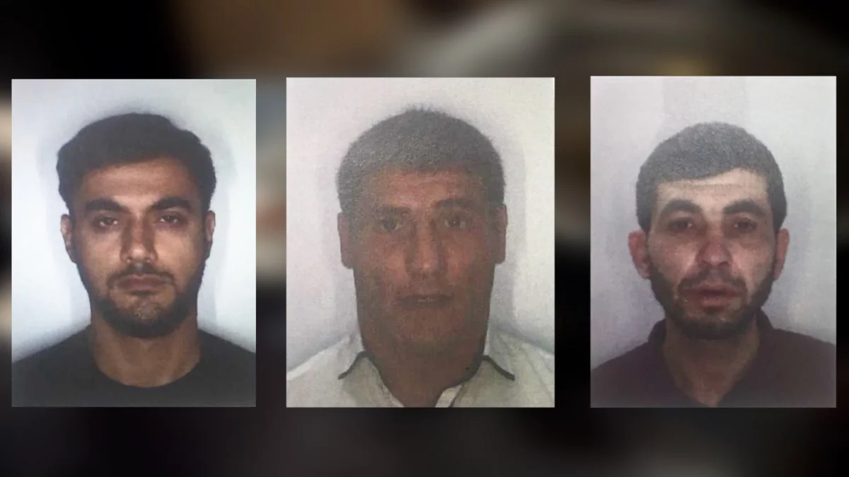 BMCMİ əməkdaşları narkotik satışı ilə məşğul olan və silahlı şəxslərə qarşı əməliyyatlar keçirib