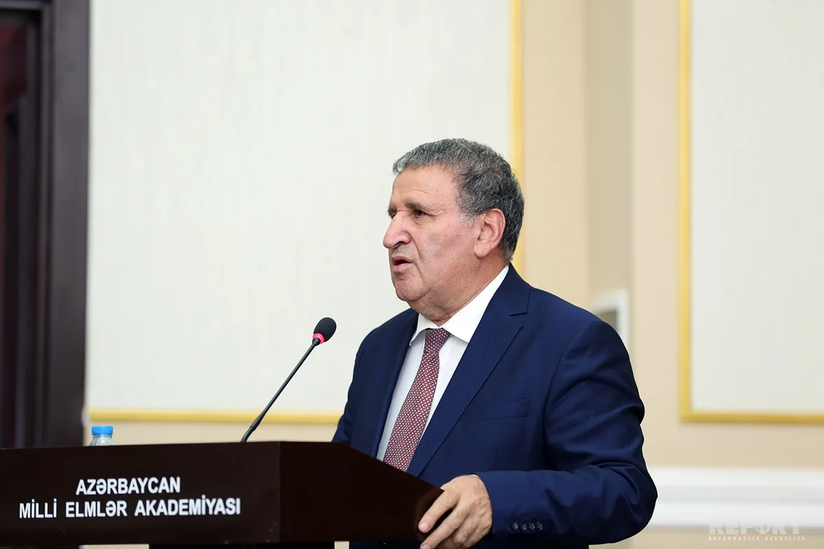 İsa Həbibbəyli: Bəzi məmurlar kənar təsirlər vasitəsilə dilə daxil olan sözləri danışıqlarına daxil edirlər