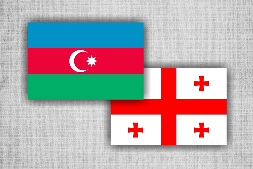 Azərbaycan-Gürcüstan sərhədi ilə bağlı danışıqların növbəti mərhələsi iyul-avqustda keçiriləcək - EKSKLÜZİV