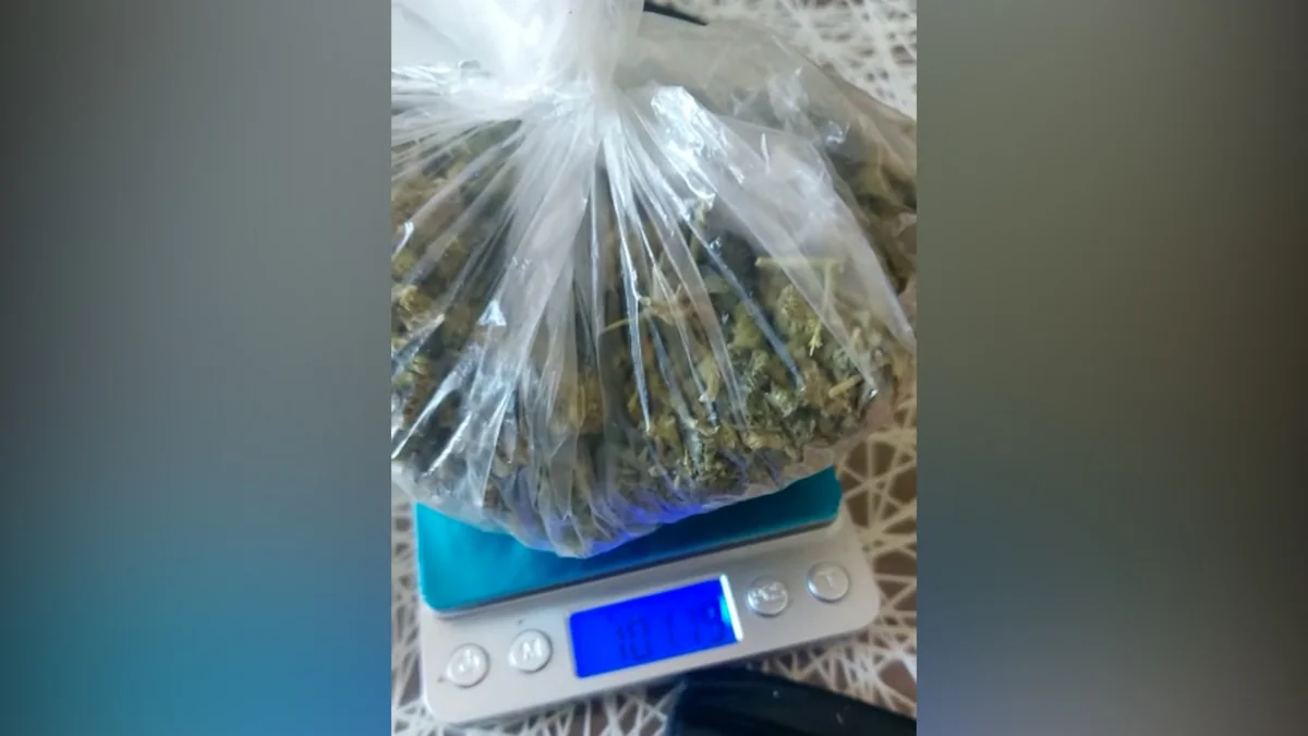 Azərbaycanda narkotik vasitələrin miqdarı təmiz və qarışıq vəziyyətdə ayrılıqda müəyyənləşdiriləcək
