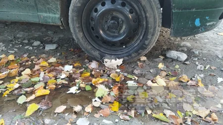 Oğuzun Yemişənli kəndinin yolu yararsız vəziyyətə düşüb