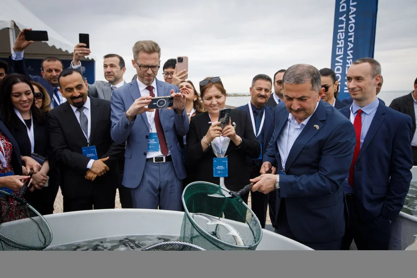 50,000 sturgeon released into the Caspian Sea by Azerbaijan fish farm to mark International Day for Biological Diversity