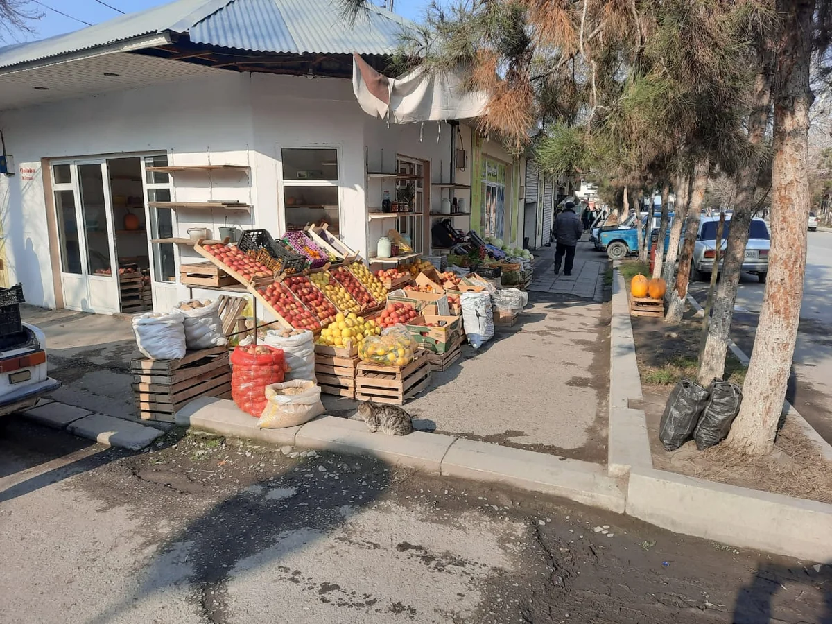 Ağdaşda qanunsuz küçə ticarəti ilə bağlı profilaktiki tədbirlər keçirilib