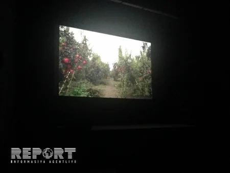 Azərbaycan mətbəxi: Dadsonrası dad filmi Rumıniyada nümayiş olunub - FOTO