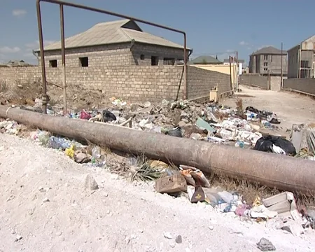 Bakıda çimərliklərin icarədarları məsuliyyətə cəlb olunublar - SİYAHI