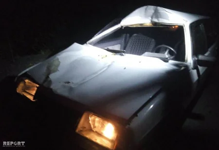 В Гахе лошадь стала причиной аварии, пострадала женщина - ФОТО