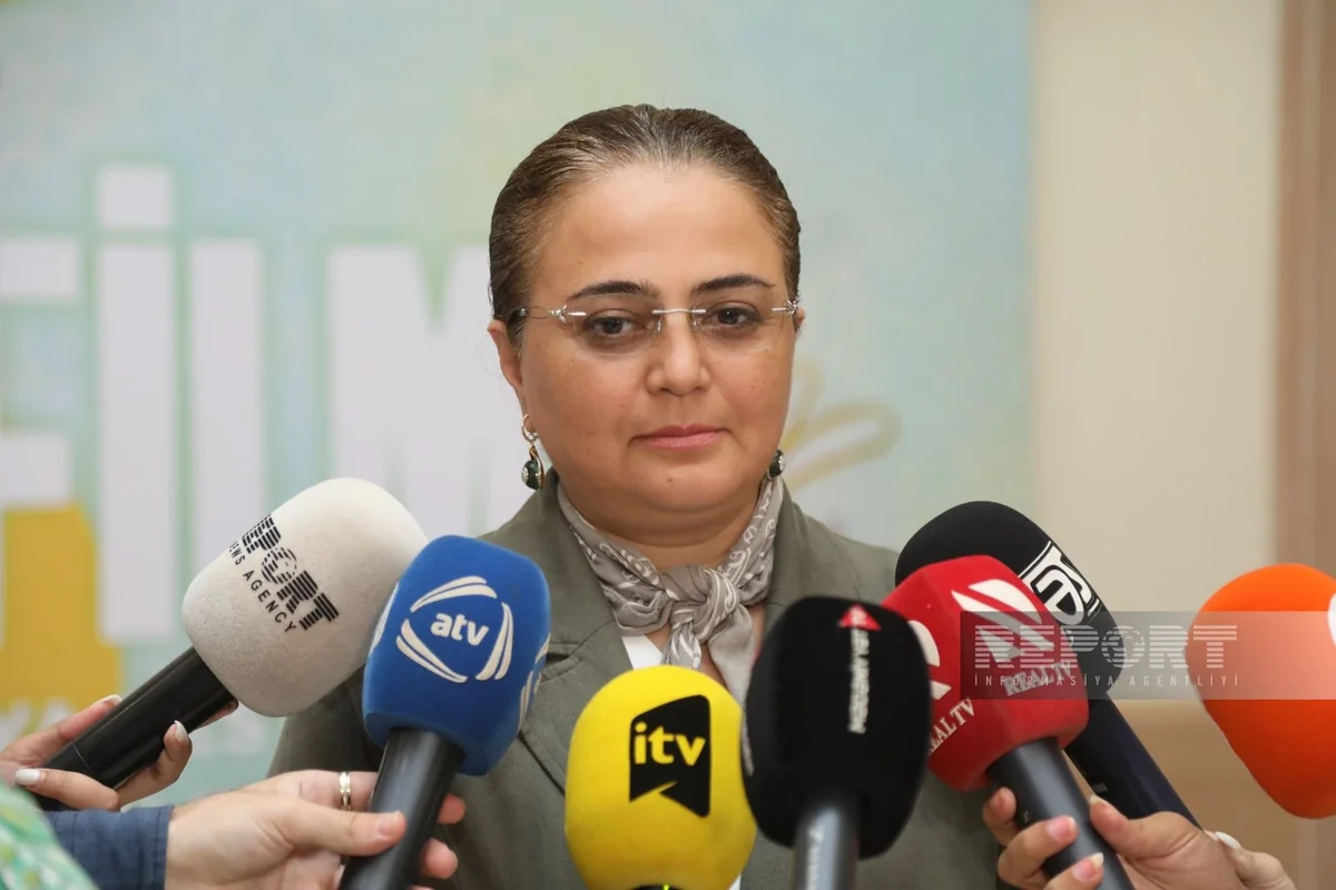 Azərbaycanda animasiya məktəbləri yaradılacaq