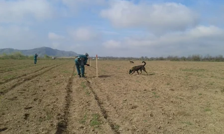Cocuq Mərcanlıda tank əleyhinə mina aşkarlanıb