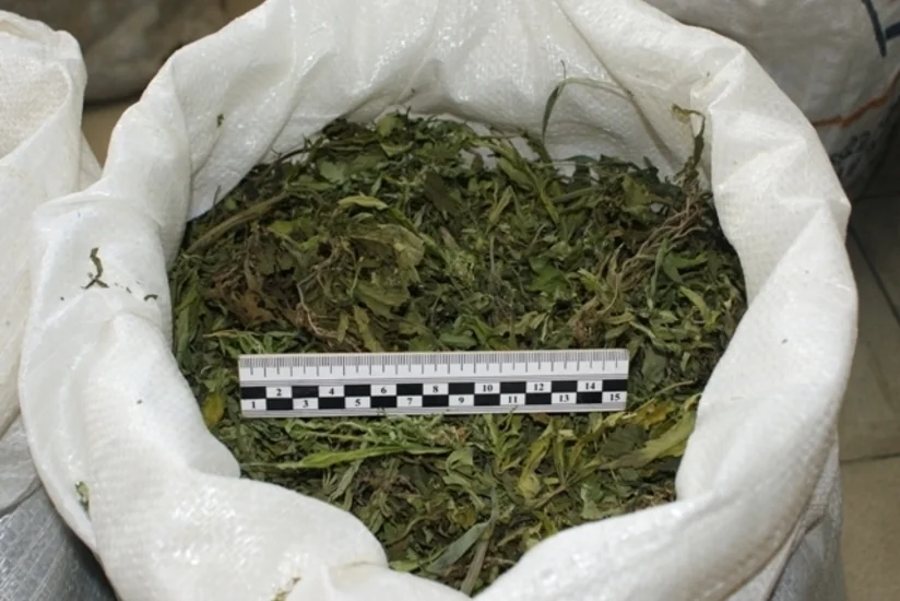 Salyan sakini 5 kiloqram narkotik maddə ilə saxlanılıb