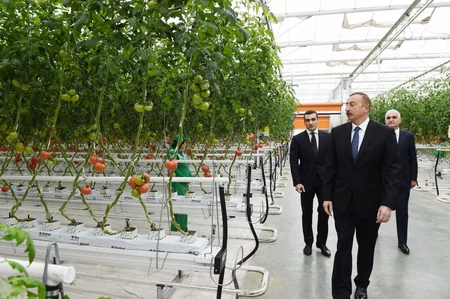 Prezident İlham Əliyev Zirə qəsəbəsində “BAKU AGROPARK”da görülən işlərlə tanış olub