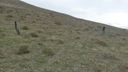 Xızıda 214 ədəd partlamamış hərbi sursat aşkarlanıb