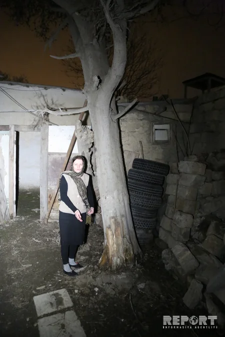 Ağac hər an evin üzərinə düşə bilər - VİDEOREPORTAJ