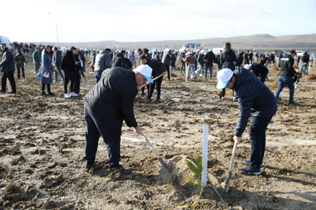 Tree-planting campaign held on 30th anniversary of New Azerbaijan Party