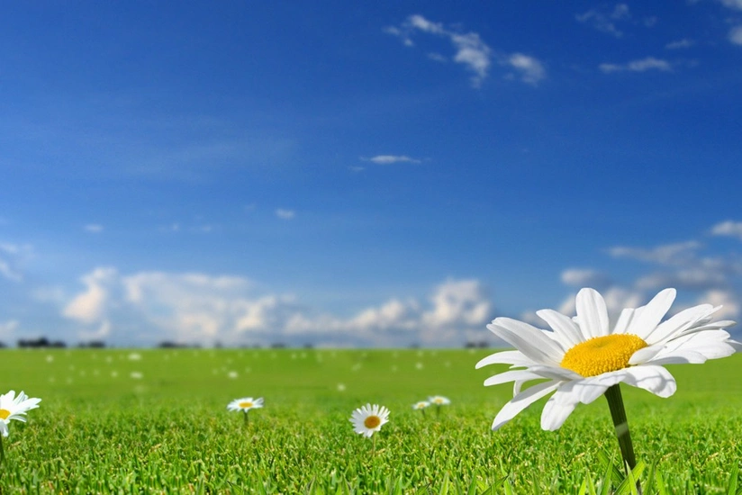 Weather forecast for Sunday announced