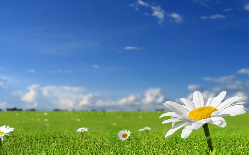 Weather forecast for Sunday announced
