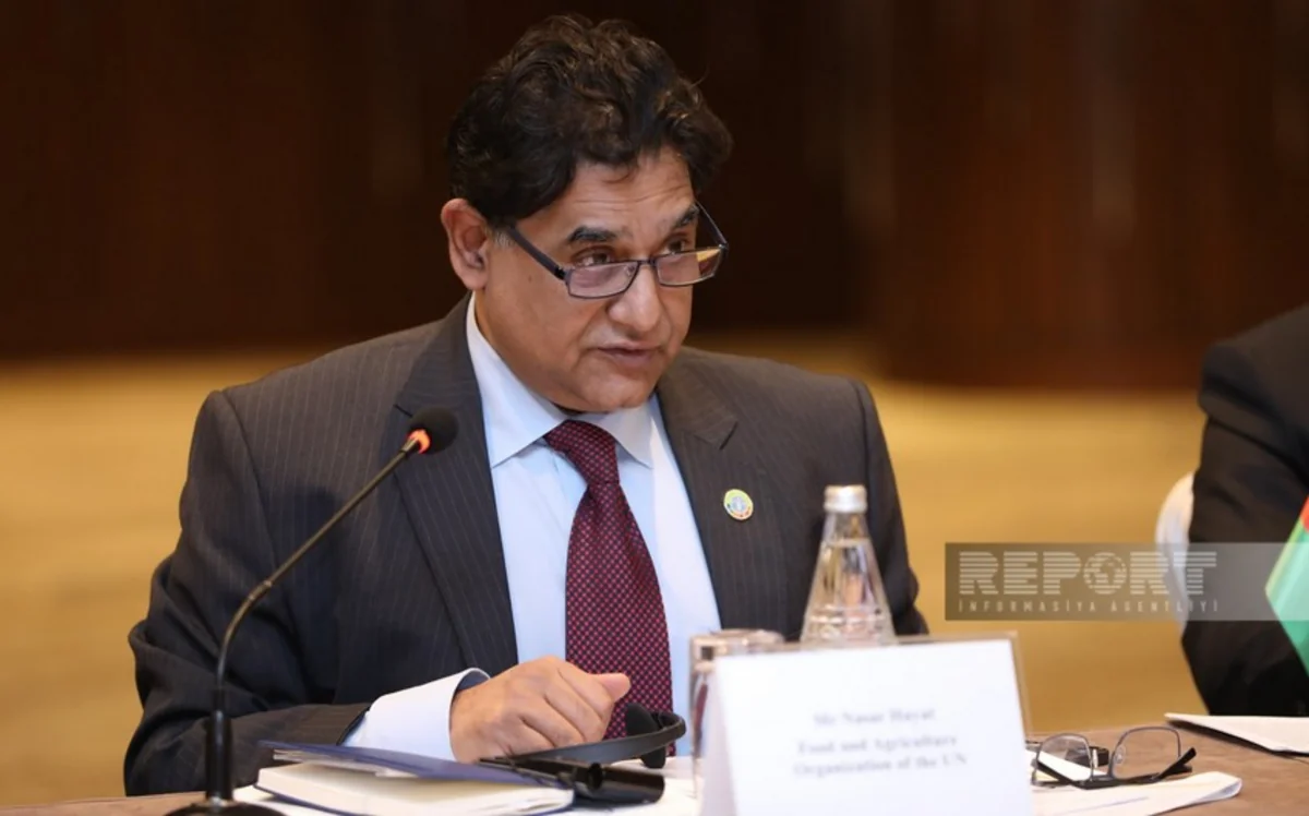 FAO rəsmisi: “COP29 Azərbaycana təcrübələrini ortaya qoymağa imkan verəcək”