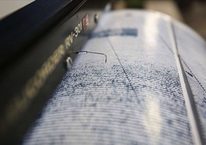 В Турции произошло землетрясение