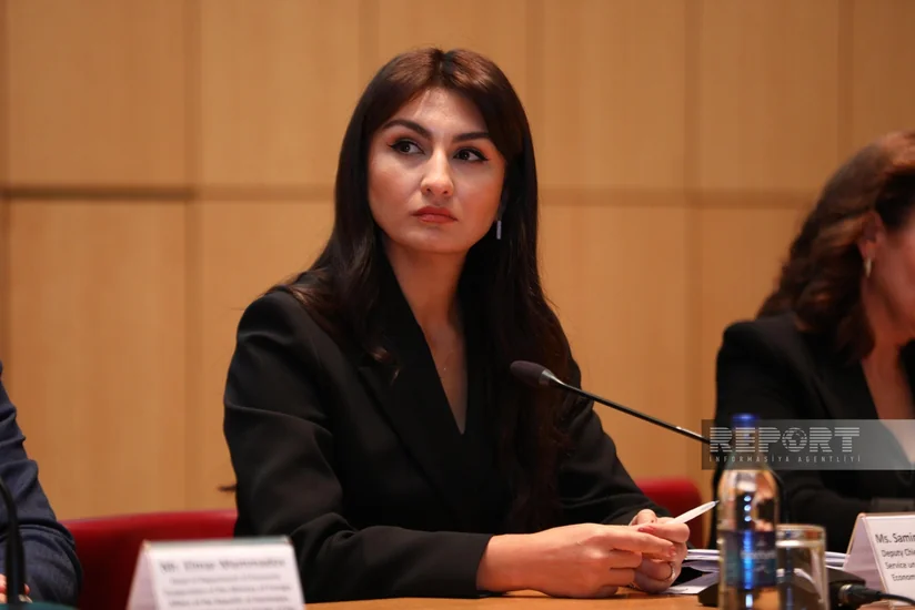 Samirə Musayeva: Azərbaycanda karbon vergilərinin geri qaytarılmasına yönəlik mexanizmlər hazırlanmalıdır