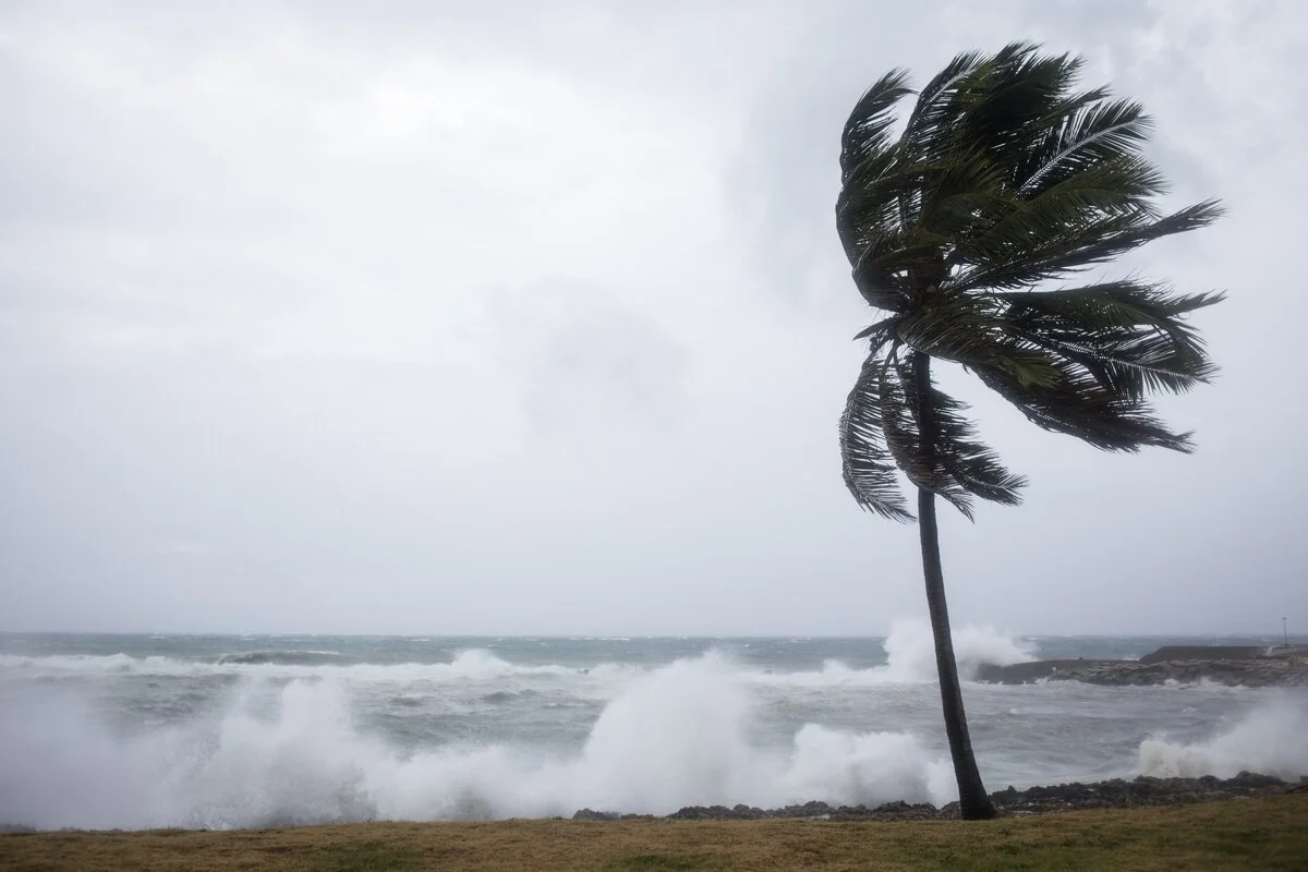 France issues orange weather alert in 60 departments