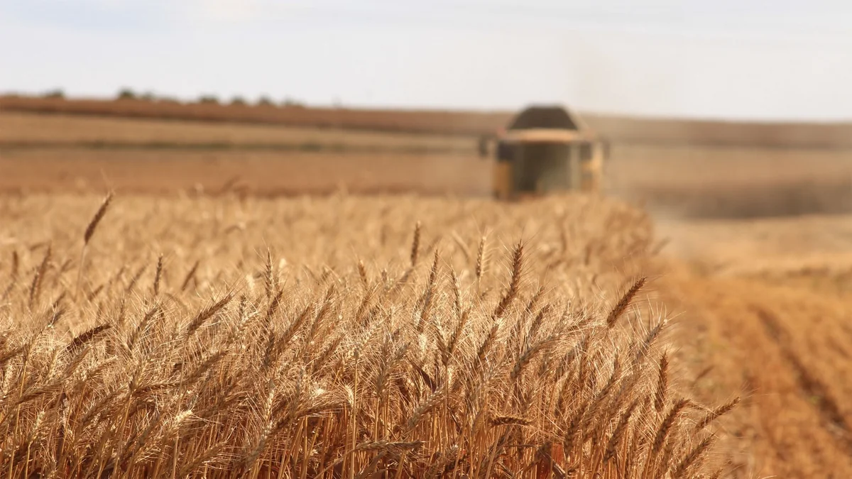 Azerbaijan's agrarian sector grows by over 2%
