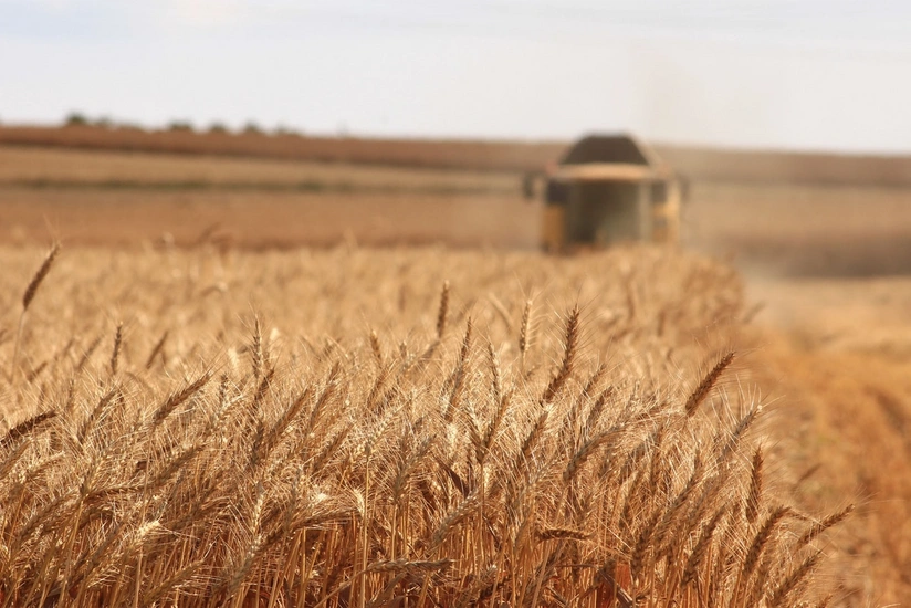 Azerbaijan's agrarian sector grows by over 2%