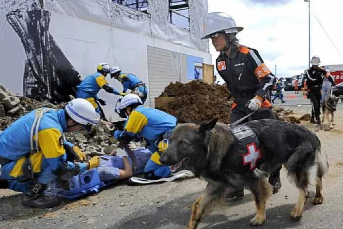 BMT: Ukraynanın şərqində münaqişə dövründə 4 132 nəfər həlak olub