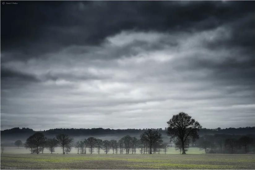 Umayra Tağıyeva: Hava yenidən qeyri-sabit keçəcək