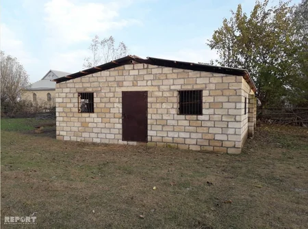 Ağcabədidə 17 baş xırda buynuzlu heyvan oğurlanıb - FOTO - VİDEO