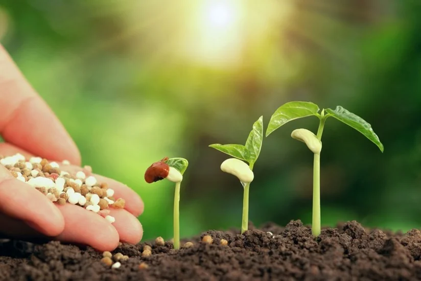 Azerbaijan doubles cost of importing fertilizers