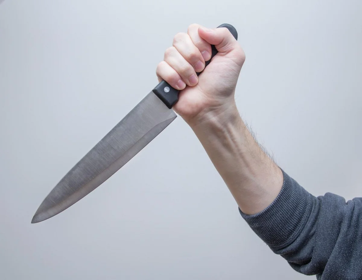 Azərbaycanda qəsdən adamöldürmə cinayətləri azalıb