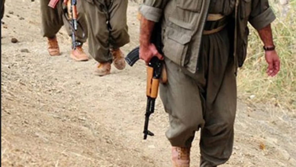 PKK terrorçuları Türkiyənin iki vilayətində təhlükəsizlik qüvvələrinə hücum edib