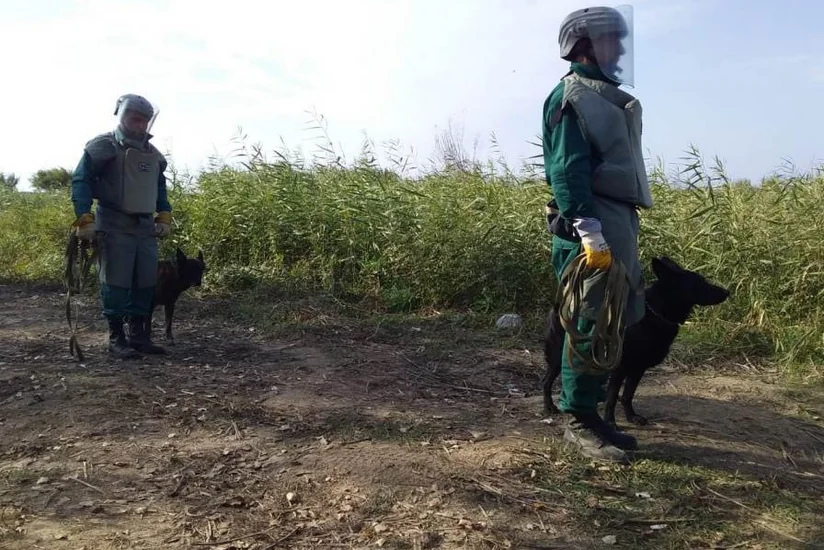 ANAMA: Ötən ay 809 partlamamış hərbi sursat, 4 mina zərərsizləşdirilib