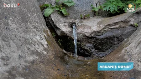 Qərbi Azərbaycan Xronikası: Ardanışda 4000 illik türk məzarlığında gizlədilənlər