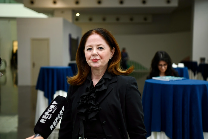 Таня Дробнич: Словенские компании нацелены на выход на новые рынки через сотрудничество с азербайджанскими партнерами