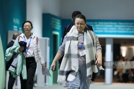 Photos from COP29 Day 8 in Baku