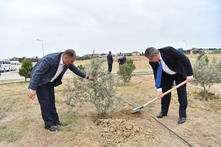 “Azərsu” Heydər Əliyevin 100 illik yubileyi münasibətilə ağacəkmə aksiyası keçirib