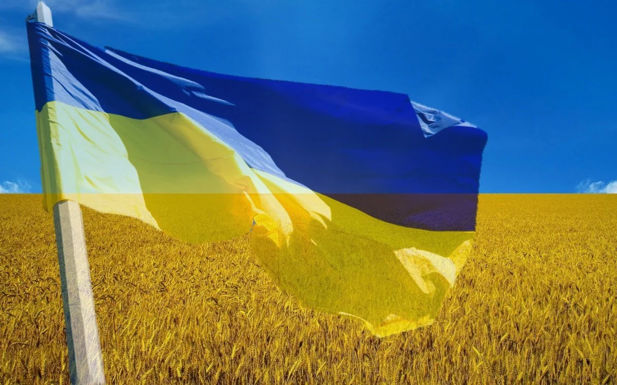 Импорт зерна из Украины: Переговоры Еврокомиссии с 5 странами ЕС провалились