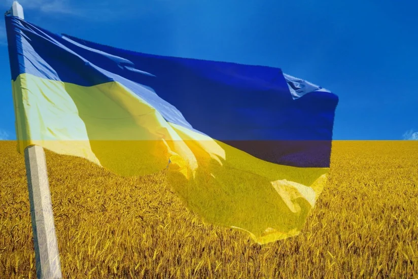Импорт зерна из Украины: Переговоры Еврокомиссии с 5 странами ЕС провалились