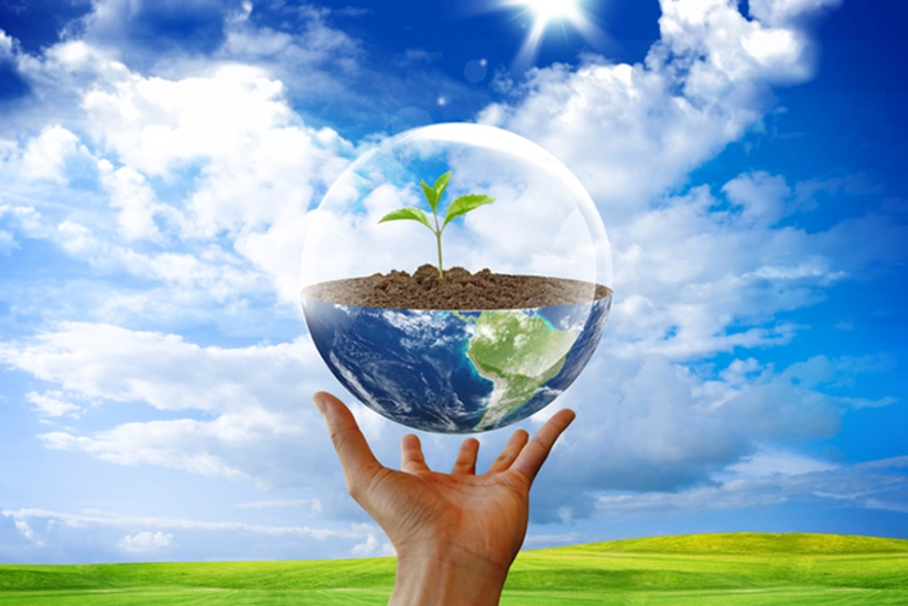 Ətraf mühitin mühafizəsi üzrə dövlət fondu vəsaitlərinin sərf olunacağı istiqamətlər genişləndirilib