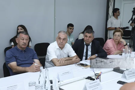 Bəzi ərazilərdə yaşıllıqların və quruyan tinglərin götürülməsi müzakirə olunub