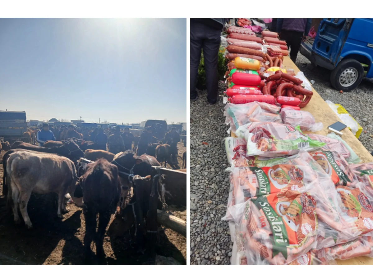 Bərdədə heyvan satışı bazarında ciddi nöqsanlar aşkarlanıb
