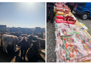 Bərdədə heyvan satışı bazarında ciddi nöqsanlar aşkarlanıb